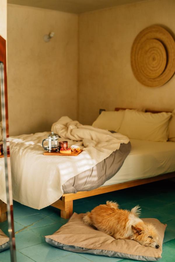 Boulenc Bed And Bread Hotel Oaxaca Luaran gambar